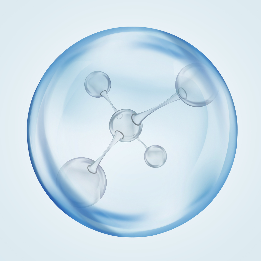 Collagène hydrolysé